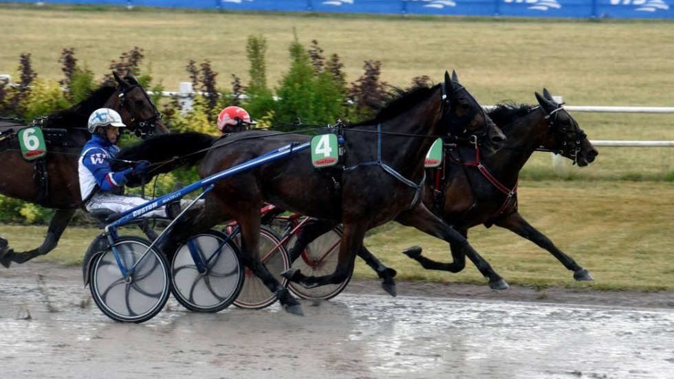 Ryssebo La Reine hamnade utvändigt om ledaren i loppet, men det bekom henne inte alls.