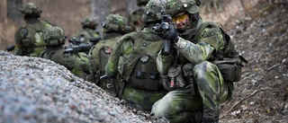 Jo, Sverige behöver gerillaförsvar