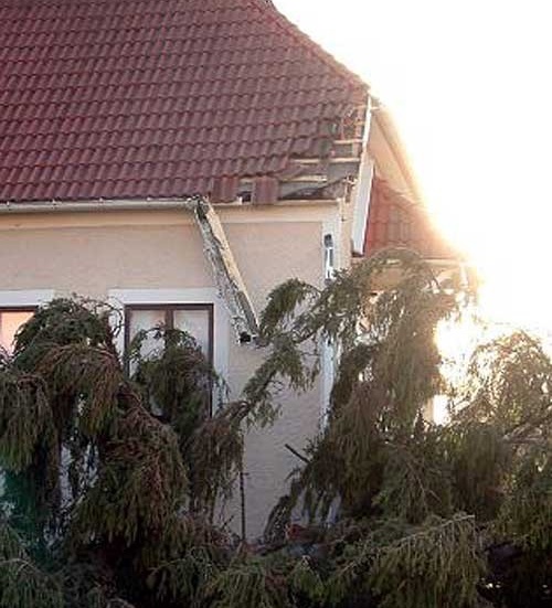Ett stort träd föll över Folkets Hus i Mariannelund. Taket är nu delvis skadat.