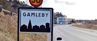 Sommarfestival planeras i Gamleby