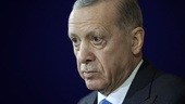 Källor: Inget turkiskt ja före Natomötet
