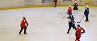 Sommarhockeyn växer trots oron: ”Vi var oroliga”