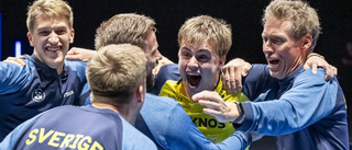 Möregårdh hyllas – efter säkrade EM-finalen: "Hans specialitet"