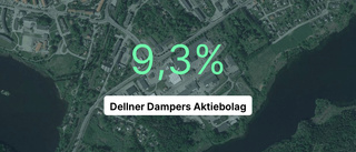 Omsättningen tar fart för Dellner Dampers Aktiebolag - steg med 20,3 procent