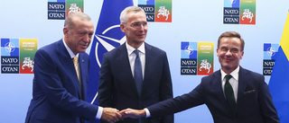 Vad händer nu med Sveriges Natoansökan?
