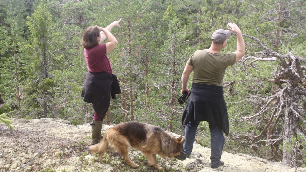 Elin Bergh and Tommy Persson on Loberget, looking out over the forest that is in danger of being be felled.