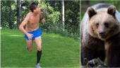 Ski legend meets bear on forest run he won't forget