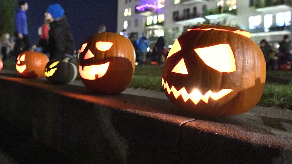 Inför Halloween är det vanligt att karva ut läskiga ansikten ur pumpor. Har du gjort det i år?