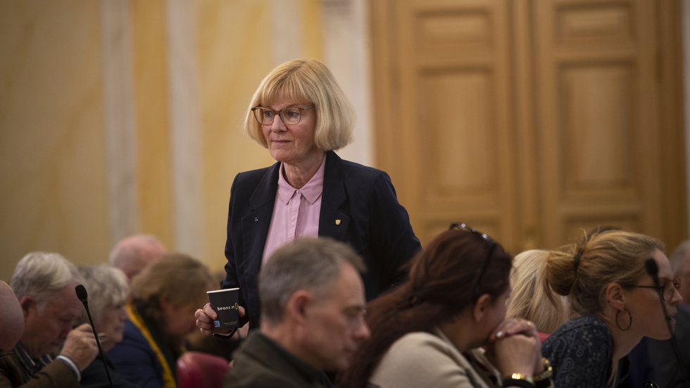 Initiativtagaren Åsa Wennergren (L) fick se sitt förslag röstas igenom på kommunstyrelsen av en enad opposition, ett förslag som ger social-och omsorgsnämnden fem miljoner kronor för att rädda Lotsen och Re-Aktiva. Men enligt S+M-styret är beslutet meningslöst.