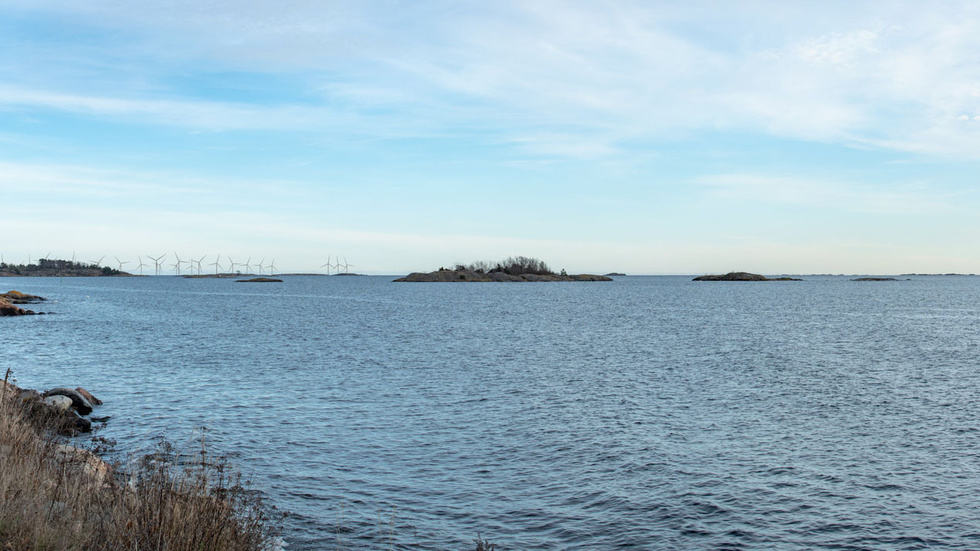 Visualisering av hur Vindpark Långgrund med 167 verk kan se ut sett från Arkö, bilden har beskurits. 