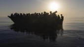 FN: Över 2 500 migranter har dött i Medelhavet
