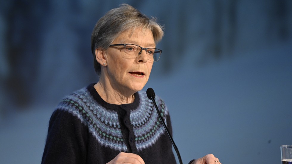 Gudrun Persson, forskningsledare Totalförsvarets forskningsinstitut (FOI). Arkivbild.