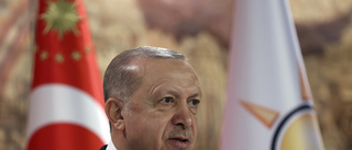 Turkiet griper elva för bortrövande av svensk