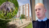 Djurplågerilarm från Årby – igelkott kastades in genom öppet lägenhetsfönster