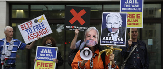 Utlämningsprocess mot Assange fortsätter