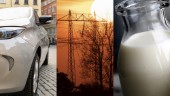 Bilen, mjölken och elen – så påverkas du av klimatet
