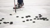 Hårda avstängningar i hockeyallsvenskan