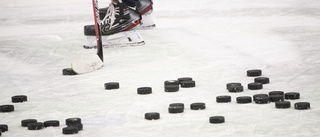 Hårda avstängningar i hockeyallsvenskan
