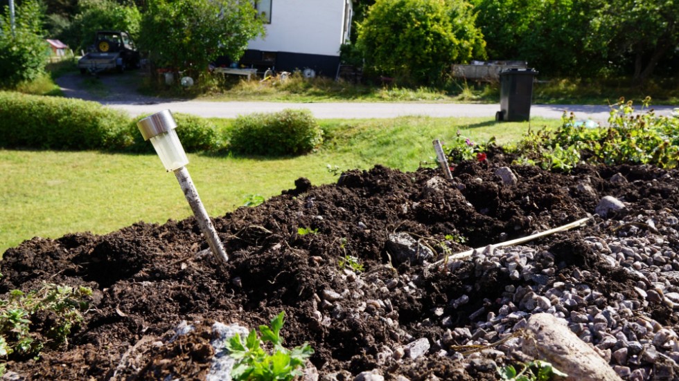 Trädgårdslampor, plantor och stenar ligger huller om buller.