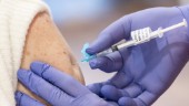 Vaccinering – Skellefteå borde prioriteras