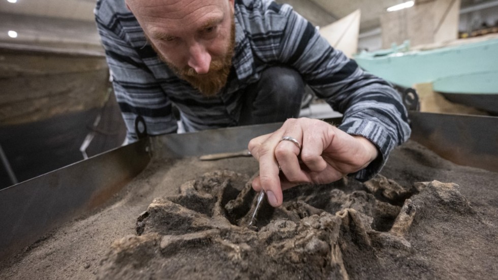 Osteolog Ola Magnell vid den frampenslade stenåldershunden.