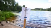 Avloppsvatten ut i sjön - inte lämpligt att bada där