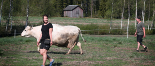 Emma är sjunde generationens mjölkbonde