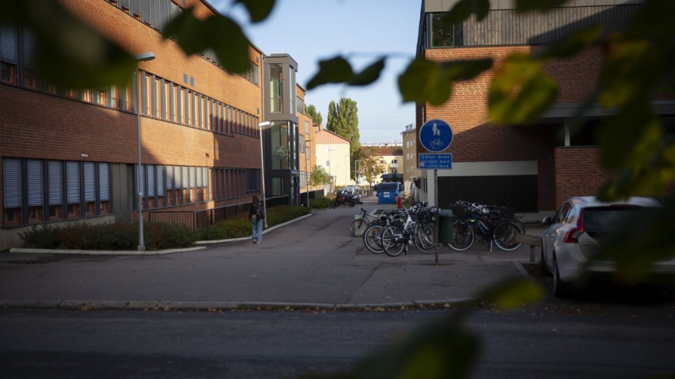 Det var här, mellan Berzeliusskolan och Vasahallen i Linköping, som den då 13-åriga eleven blev knivhuggen när han var på väg hem från skolan.