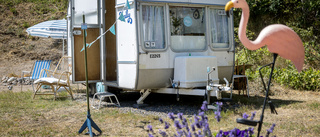 Bofride: "Campingtrend visar på behov av flexibilitet"