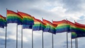 Det blir inga homo-klasser i Skellefteå