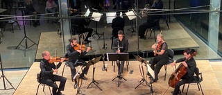 Konsert: Kvintett som väcker musiklusten
