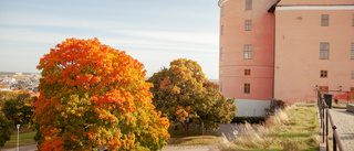 Uppsalas historia är mer än slottet och studentsången