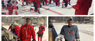 Tierp Hockey satsar ungt i division II