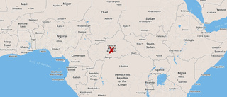 Rebeller har intagit centralafrikansk stad