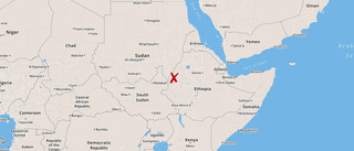 Över 40 dödade i militärinsats i Etiopien