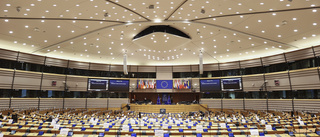 Ungersk EU-politiker avgår efter polistillslag
