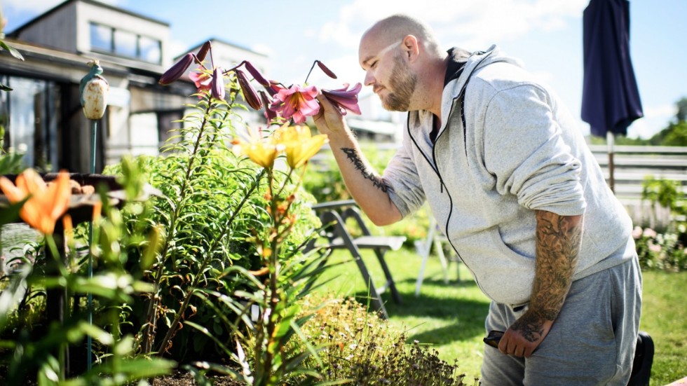 Kenneth Gustafsson är en passionerad hobbyodlare. Trädgården är nu inne på sin tredje sommar och flera olika sorters liljor har slagit ut.