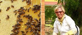 Följ med in i bikupan: "Binas värld är ett matriarkat" 
