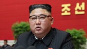 Kim ska stärka Nordkoreas försvar