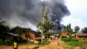 Över tusen civila har dödats i Kongo-Kinshasa