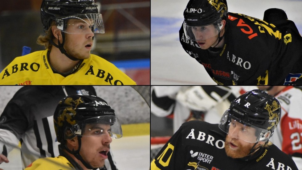 Jonas Nyman, Anton Carlsson, Mathias Wigley och Jakob Karlsson toppar den interna poängligan för Vimmerby Hockey flr hela säsongen.