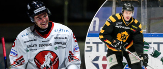 Förre AIK-junioren om framtiden: "Hade varit sjukt kul att komma tillbaka till SHL"