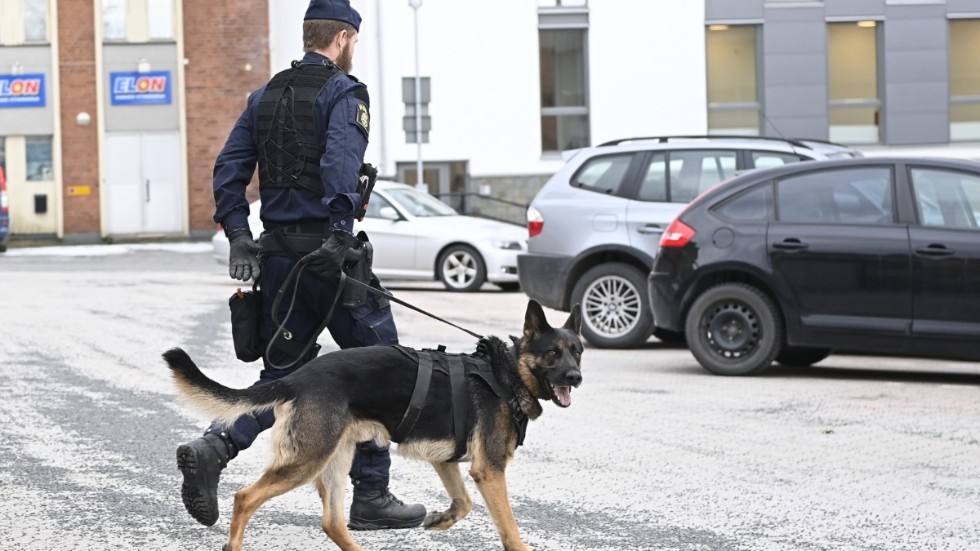 Polisen spärrade av två områden inne i Nässjö och under en kort tid stoppades tågen förbi Nässjö Central för att ge polisen möjlighet att med hjälp av hundar söka av spårområdet efter tillhyggen som kan kan ha koppling till händelsen.