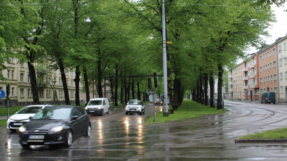 Skribenten undrar om hela Östra promenaden måste stängas av samtidigt medan träden byts ut.