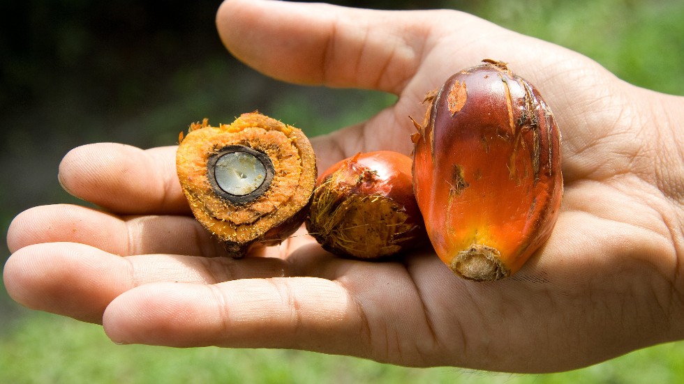 Många glassar innehåller fortfarande palmolja, visar en undersökning som Råd och rön gjort inför sommaren. Arkivbild.