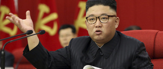 Nordkoreas diktator medger svår matsituation