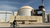 "Tekniskt fel" stänger kärnkraftverk i Iran