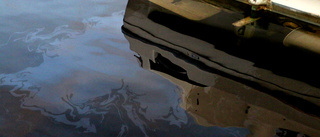 Oljeläckage i fjärden stör båtägare – djur och miljö påverkas: "Svanar är svarta från oljan"