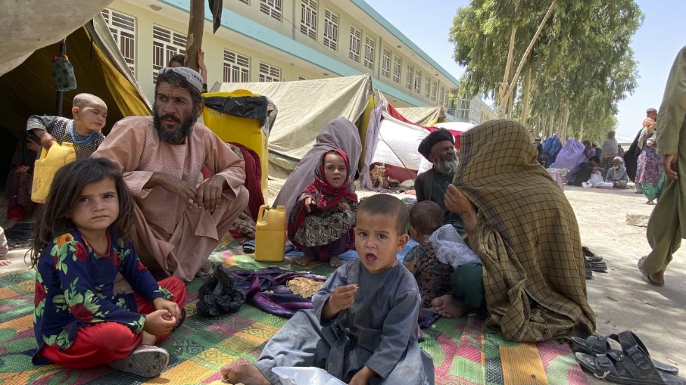 Afghaner som har flytt sina hem på grund av strider mellan talibaner och regeringsstyrkor har samlats i Damandistriktet i Kandaharprovinsen, söder om huvudstaden Kabul. Grannlandet Iran har sedan tidigare tagit emot många flyktingar från Afghanistan och vill få stopp på det.