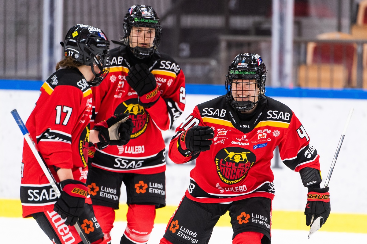 Luleå Hockey har inlett samtal med Tulus